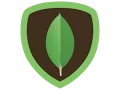 MongoDB shell tricks with JS and mongorc js