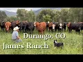 Durango Colorado is home to James Ranch some of the best cheese on planet earth among lots more