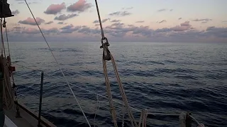 Eleven days and done