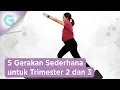 Download Lagu 5 Gerakan Olahraga Mudah untuk Ibu Hamil Trimester 2 \u0026 3 - Adianti Reksoprodjo