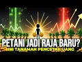 Lagu KRISIS 2026‼️Petani Jadi Raja Baru? Ini 7 Tanaman Pencetak Uang