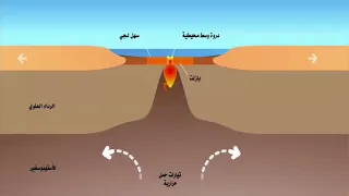 الظهرة المحيطة سنة ثالثة متوسط فلاش سريع لنشاط الظهرات تعريف الظهرة المحيطية ثالثةمتوسط 