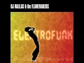 Electrofunk (The Flamemakers Remake)