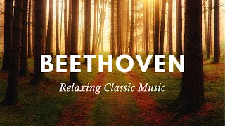 BEETHOVEN | RELAXING Classical Music for Studying, Concentration, Relaxation (Calming Sleep Music)