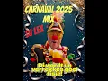 Download Lagu Carnaval 2025 Mix DJ Lex!