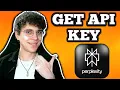 How To Get Perplexity AI API Key