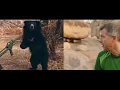 Chris Kratt s Sloth Bear Standoff The Truth What We Heard And What Happened