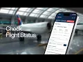 How To Check Flight Status on Delta App - full tutorial