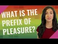 What is the prefix of pleasure