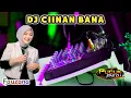 Download Lagu DJ CIINAN BANA - FAUZANA // PUCUK PEDIA REMIX