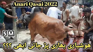 Download Anari Qasai 2022 || Eid UL Azha || MP3