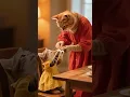 Download Lagu apa dan bagaimana jadinya kita bila tanpamu 😻🤗 #shortcat #catlovers #feedshorts #shorts