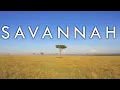Download Lagu The Savannah Biome - Biomes #2