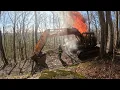 Bad day doing tree work
