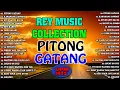 PITONG GATANG 🔥🔥THE BEST OPM HITS, SLOW ROCK LOVE SONGS NONSTOP BY REY MUSIC COLLECTION