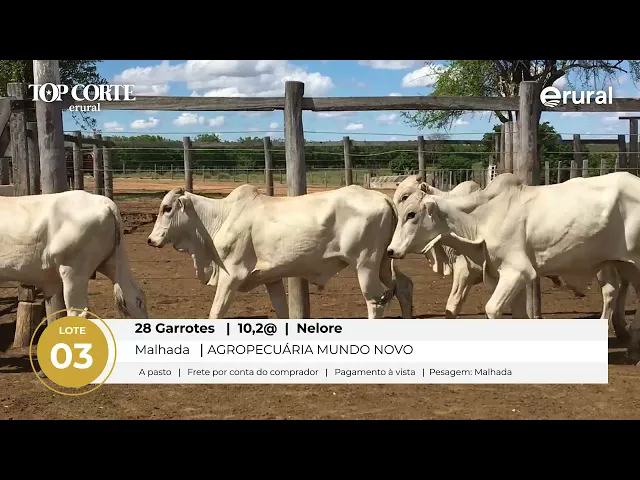 Preview de vídeo - MlpPm7howBs