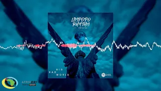 limpopo rhythm big bad world feat presss official audio 