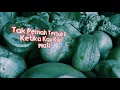 Download Lagu Bleeding Corpse - Kitab Tak Bertuhan with lyric by jonnkyuubi