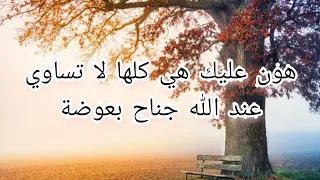 هون عليك هي كلها عند الله لا تساوي جناح بعوضة دندنها