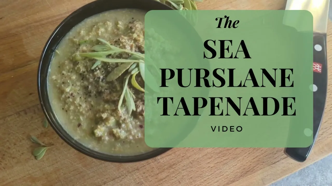 Sea Purslane Tapenade: A Coastal Delight