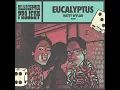 Eucalyptus (feat. Jkarri)