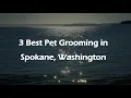 3 Best Pet Grooming in Spokane Washington Pet Salons