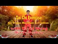Tai Chi Exercise for Organ Meridian Activation with David Wong - Qi Life Mastery