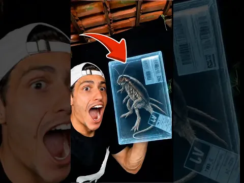 O que tem dentro dessa caixa?!😱 #shorts