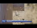 Emerald Isle program asks people to report sea turtles seen on land
