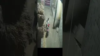 حرامية الموتوسيكلات حسبنا الله ونعم الوكيل 