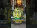 Lagu Divine Mayuranathar Temple 🙏 | Mayiladuthurai Shiva Temple Darshan
