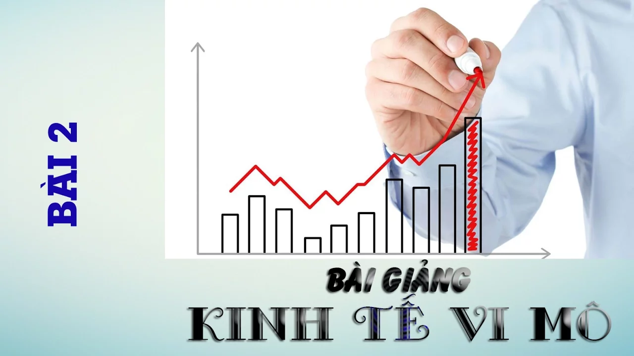 Kinh tế vi mô - Cung cầu và giá cả thị trường