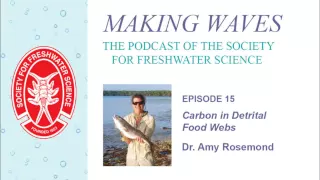 Download Maving Waves Ep. 15 - Nutrient Effects in Detrital Food Webs MP3