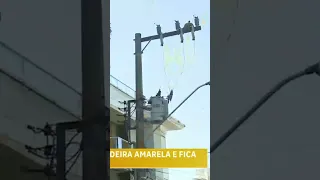 Conta de Luz mais barata em dezembro #scnoar #energíaeléctrica