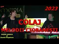 Download Lagu CEL MAI TARE COLAJ DE MELODII CIOBANESTI ❌  DOINA BADEA ❌ NOU 2023