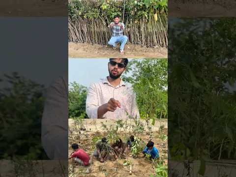 🚨 Every Subscribe Plants a Tree 🌳 Join the Green Revolution! 💚 #shorts #flora #plants