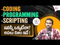 Codegnan - Coding vs Programming vs Scripting