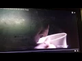 Download Lagu iklan top coffee - kopinya orang indonesia 2013