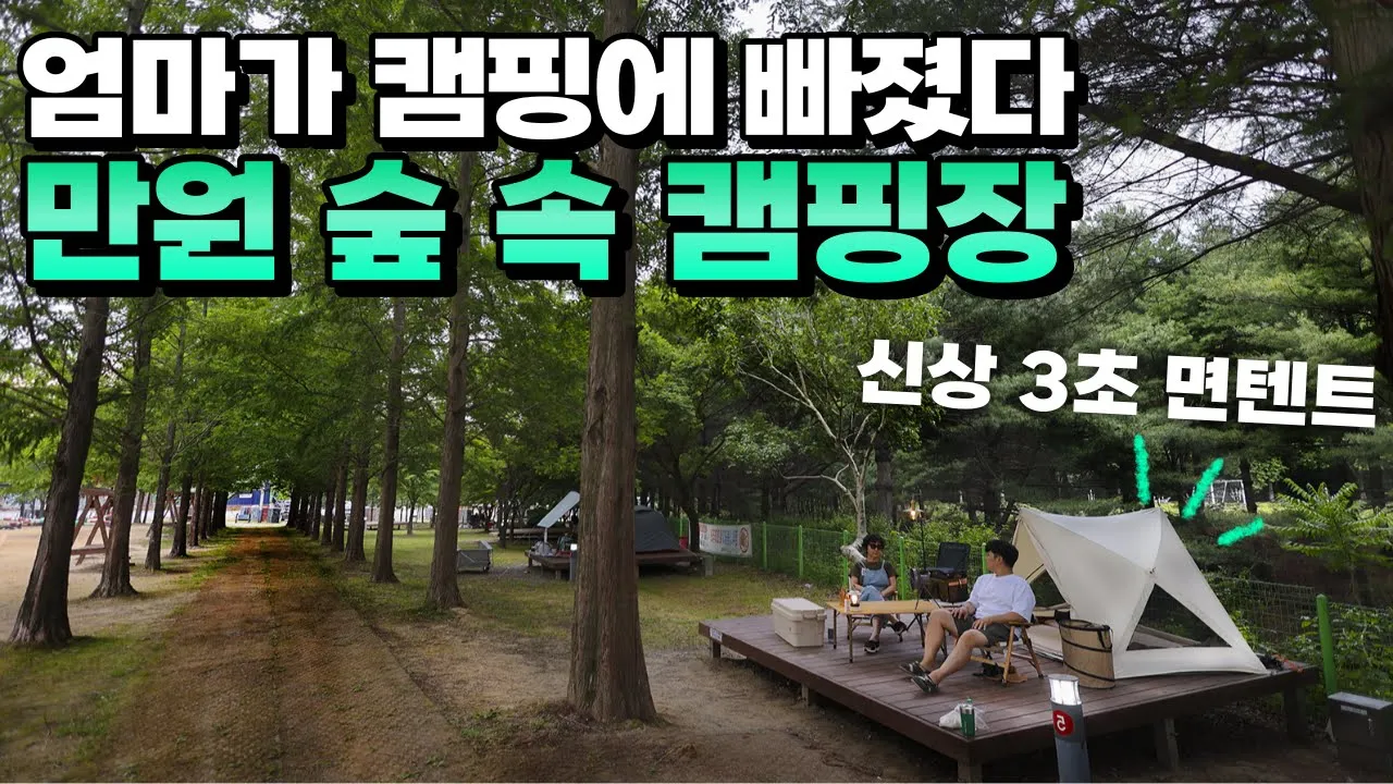가성비 끝판왕 수목원 캠핑장 만원 ? 전기 무료 ㆍ 온수 샤워 무료ㆍ 온수 개수대ㆍ수목원ㆍ동물원ㆍ놀이터 엄마를 캠핑에 빠지게 한 신상 3초 면텐트 800도씨 협찬 소박텐트 썸네일