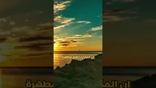 تعداد مكارم الأخلاق للإمام علي إن المكارم أخلاق مطهرة علي الامام علي علي بن ابي طالب شعراء 