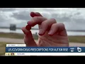 Leucovorin drug prescriptions rise after White House Announcement