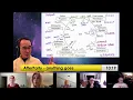 Individuation DIFFERENTIATION from The GESTALT Cycle of Experience perspective