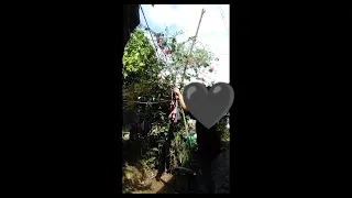 a day in my life kc castillo