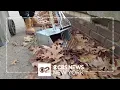Over 1 000 NYC parks workers expected to lose their jobs due to budget cuts