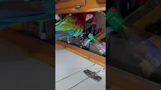 Charlie wants peanut butter #shorts