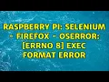 Raspberry Pi Selenium - Firefox