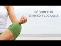 Welcome to Emerson - Introduction