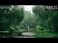Download Lagu Rain and Thunder Sounds for Sleeping | High Quality 3D Dolby Atmos Sound | Relaxing Naturals