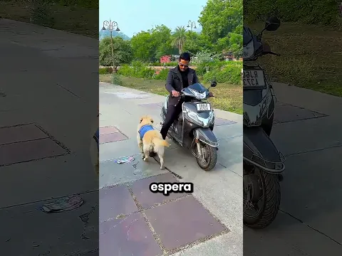 Mi Perrito Fue A Por Gasolina Para La Moto 😲