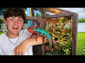 BUYING Reptiles at this INSANE REPTILE EXPO